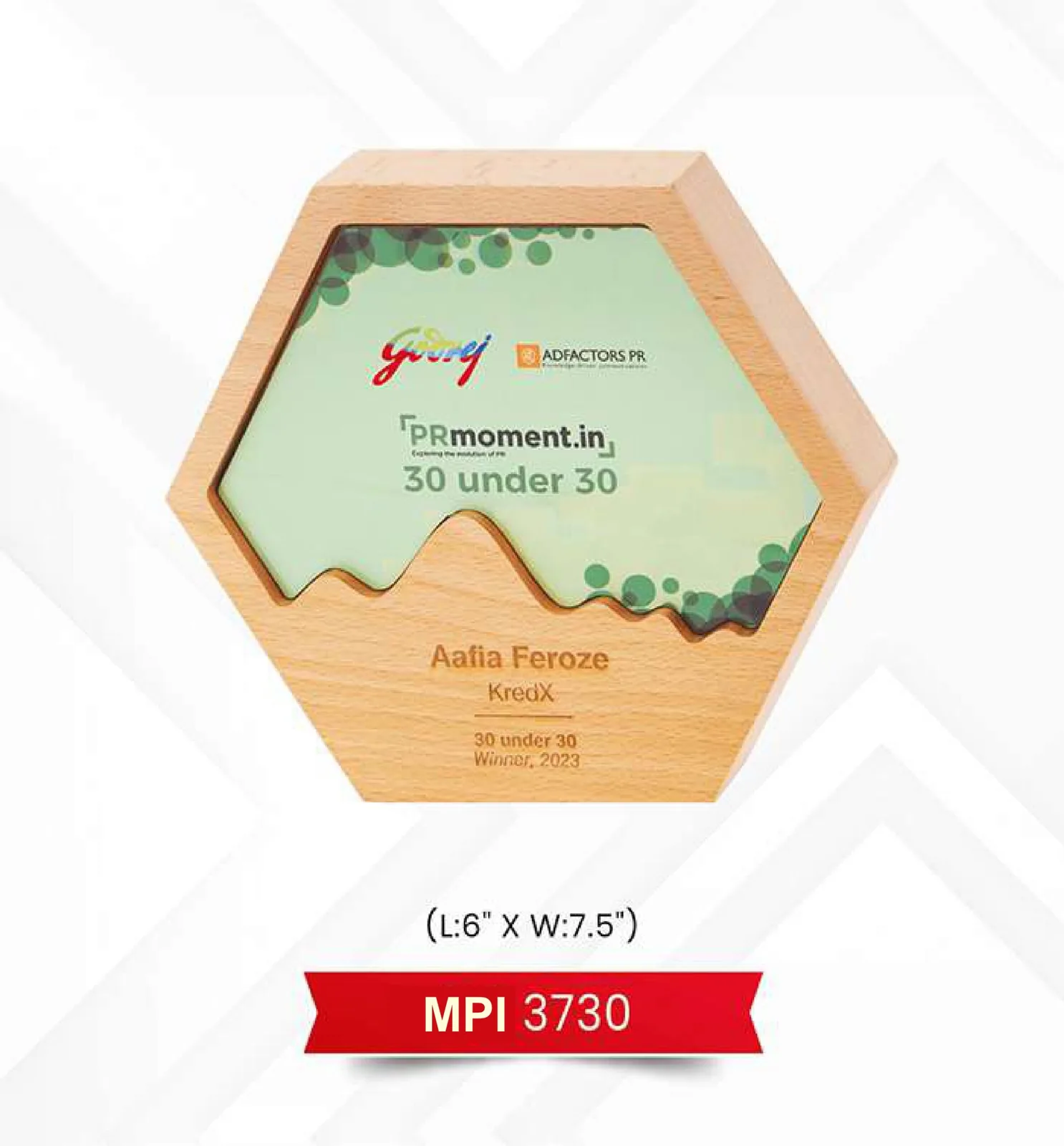 Plaque Trophy (MPI 3730)