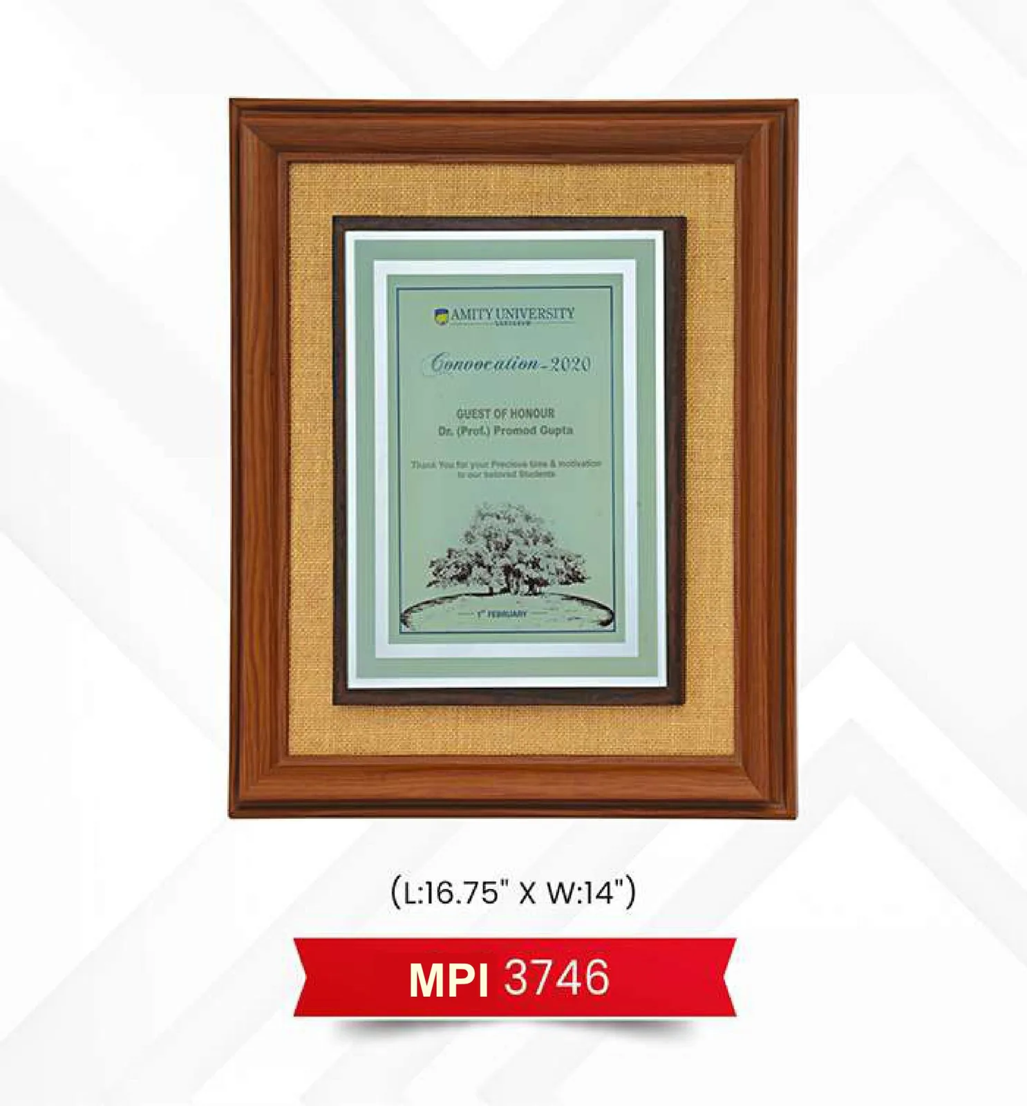 Plaque Trophy (MPI 3746)