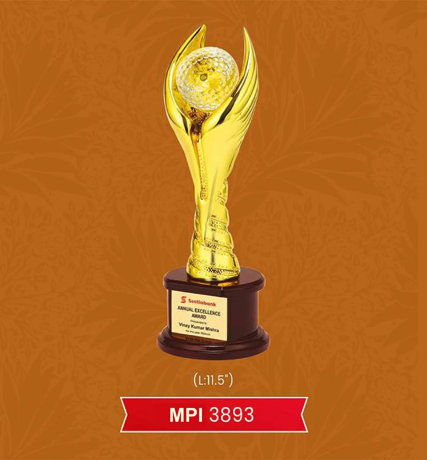 Trophy & Award (MPI 3893)